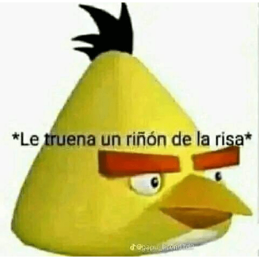 XD? 5 13