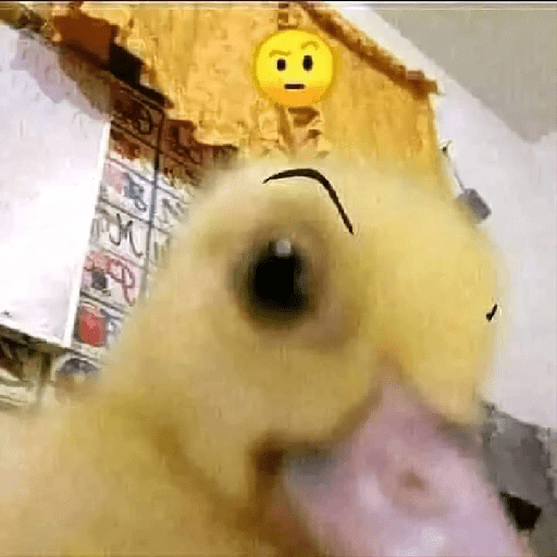 XD? 5 18