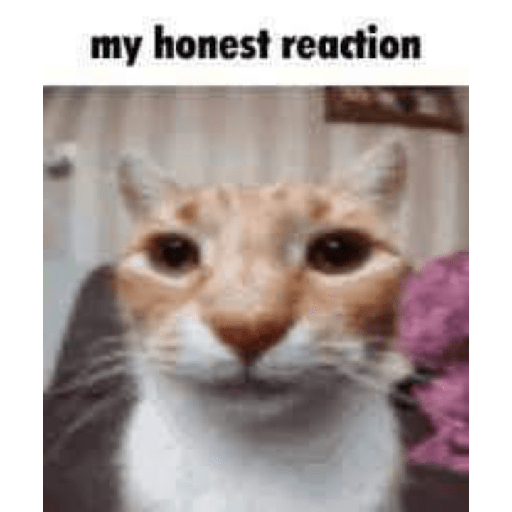 XD? 5 24
