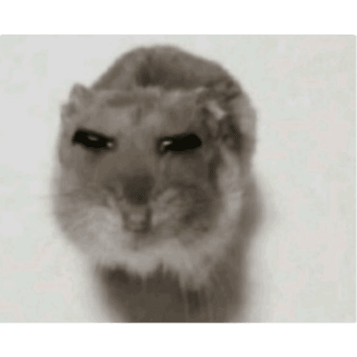 Heee 25