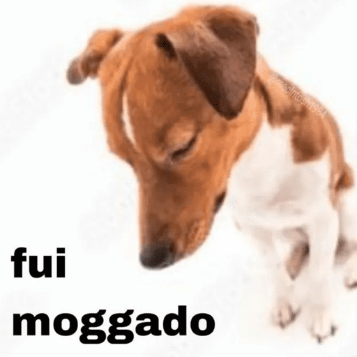 Jotinha core 11