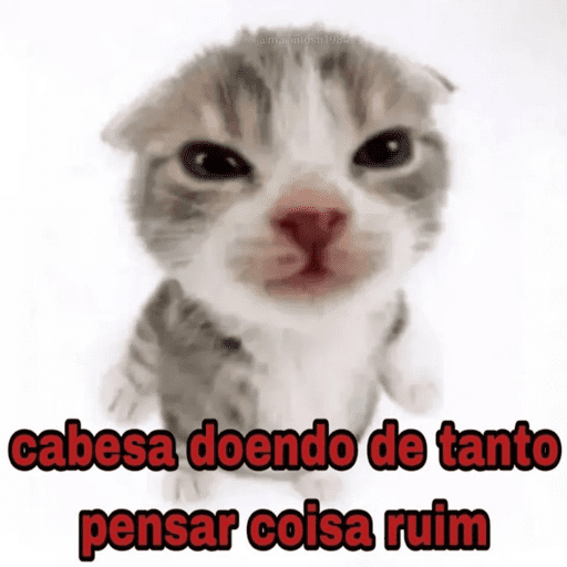 Jotinha core 21