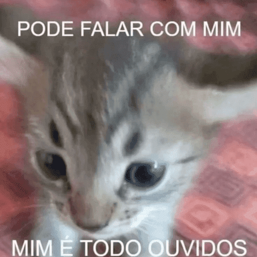 Jotinha core 19
