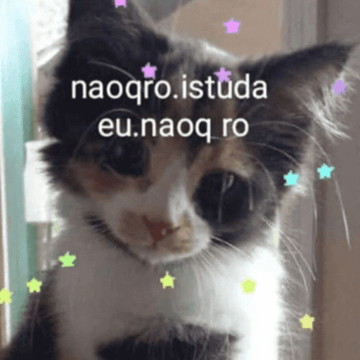 Jotinha core 25