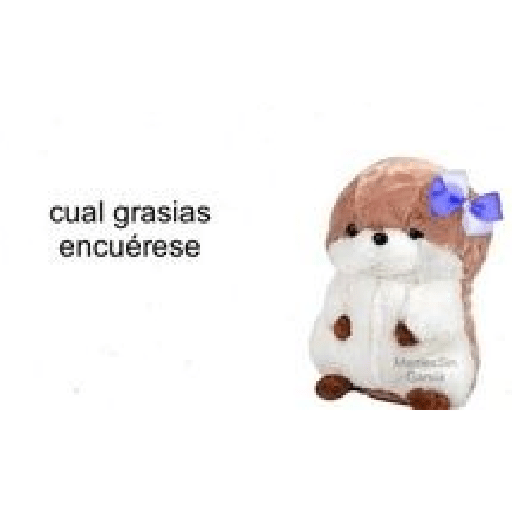 Gay 1