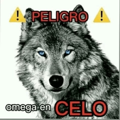 Gay 3