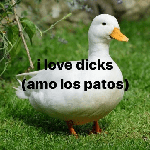 Gay 5