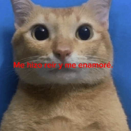 Gay 15