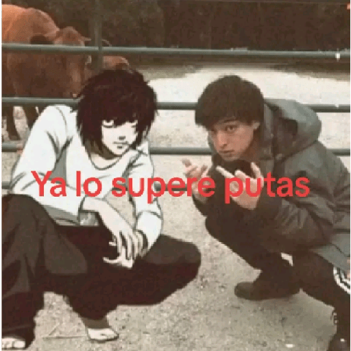 Gay 12