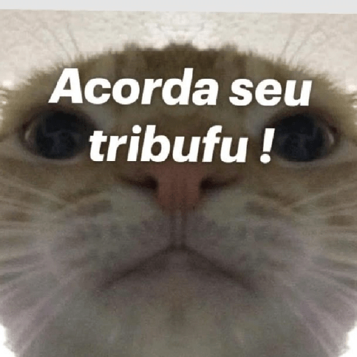 Memes 7
