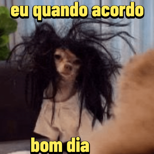 Memes 5