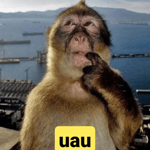 Memes 3
