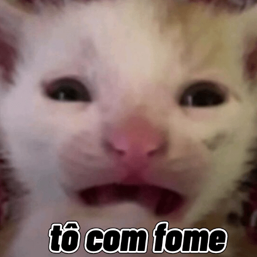 Memes 1