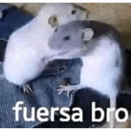Animalitos 8.0 9