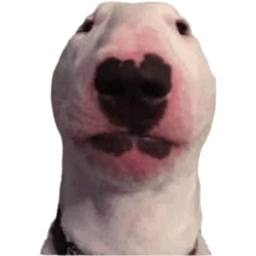 Animalitos 8.0 19
