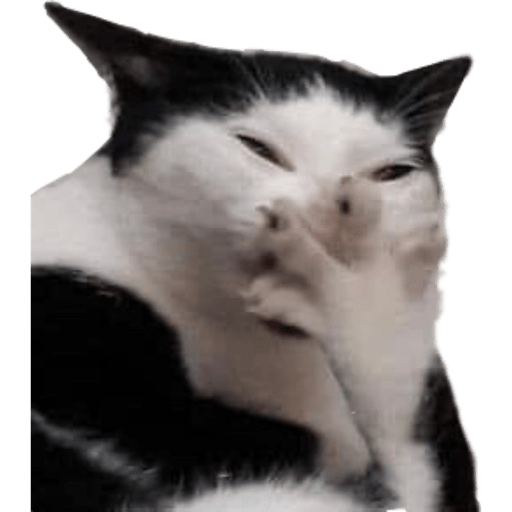 Animalitos 8.0 14