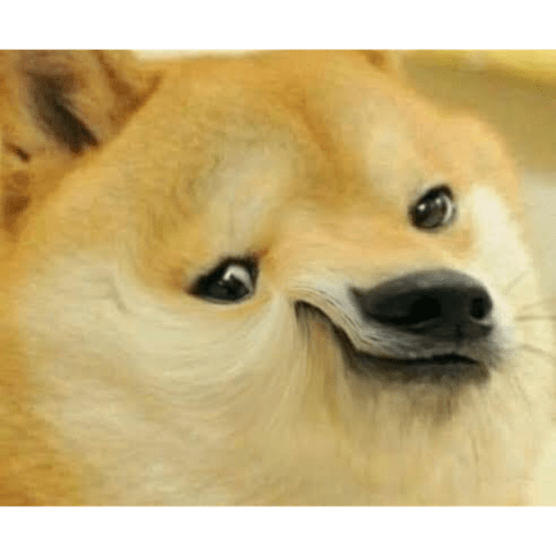 Animalitos 8.0 2