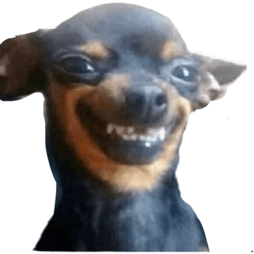 Animalitos 8.0 13