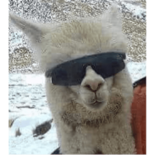 Animalitos 8.0 28
