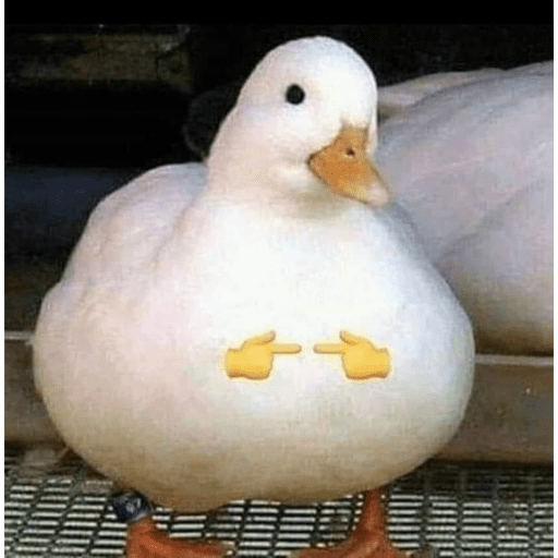 Animalitos 8.0 10