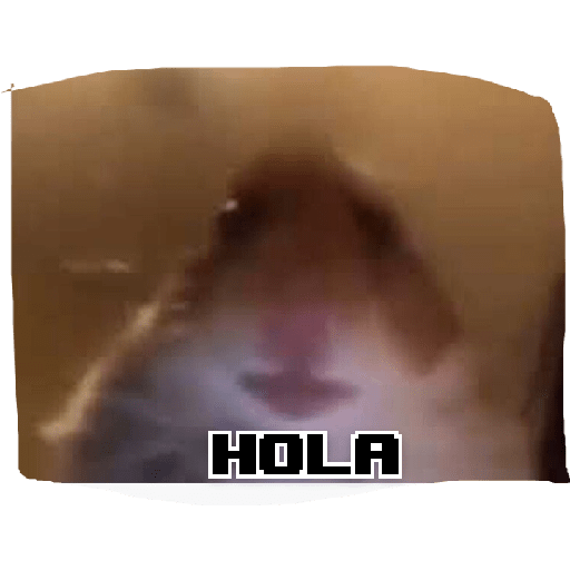 Ggg 5