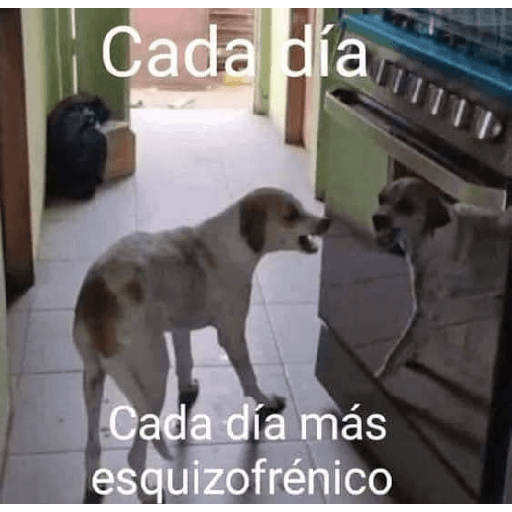 Animalitos23.0 8