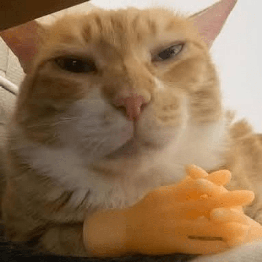 Animalitos23.0 2