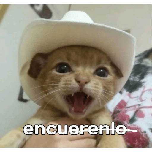 Animalitos23.0 28