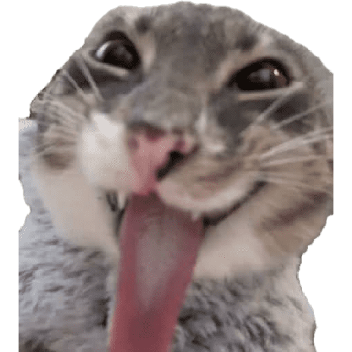 Animalitos 19.0 22