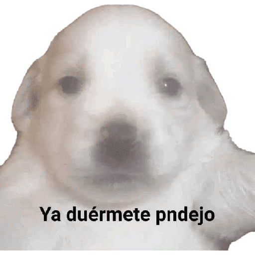 Animalitos 19.0 21