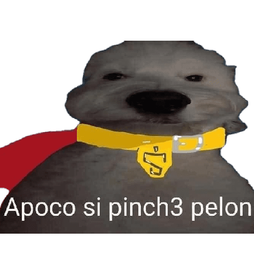 Animalitos 19.0 15
