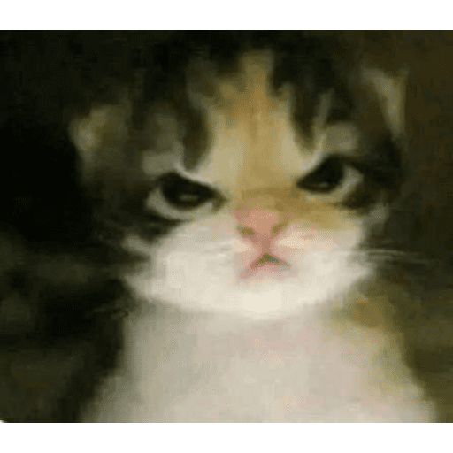 Animalitos 19.0 25