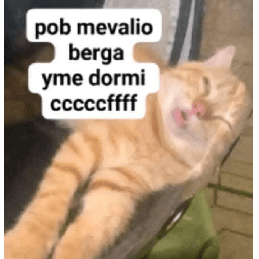 Animalitos 19.0 24