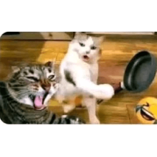 Animalitos 19.0 23