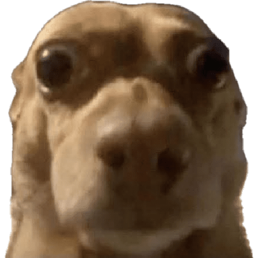 Animalitos 19.0 3