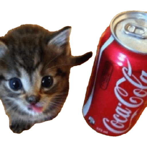 Animalitos 19.0 4