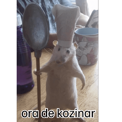 Animalitos 19.0 11
