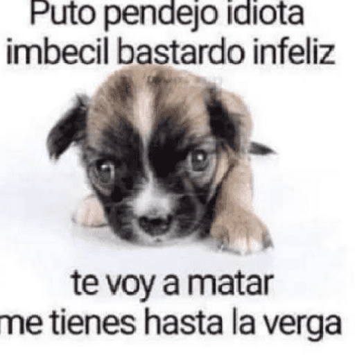 Animalitos 19.0 12