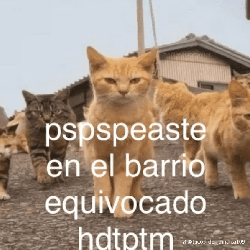 Animalitos13.0 15