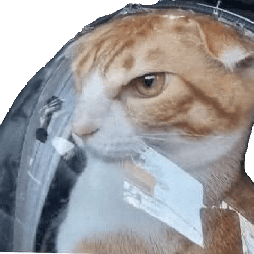 Animalitos13.0 21