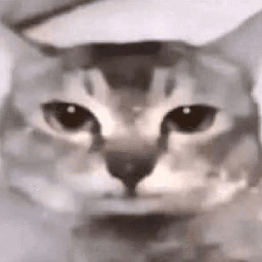 Animalitos13.0 22