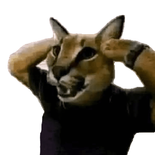 Animalitos13.0 28