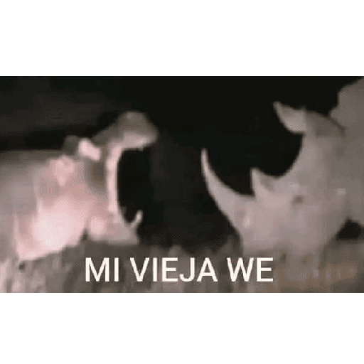 Animalitos13.0 5
