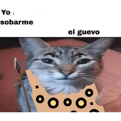 Animalitos13.0 6