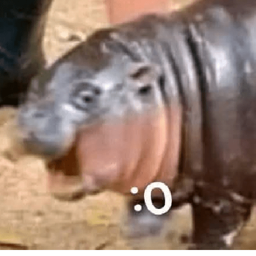 Animalitos13.0 13
