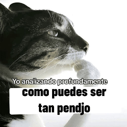 Animalitos13.0 2