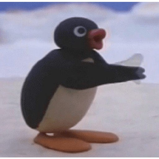 Pingu 23