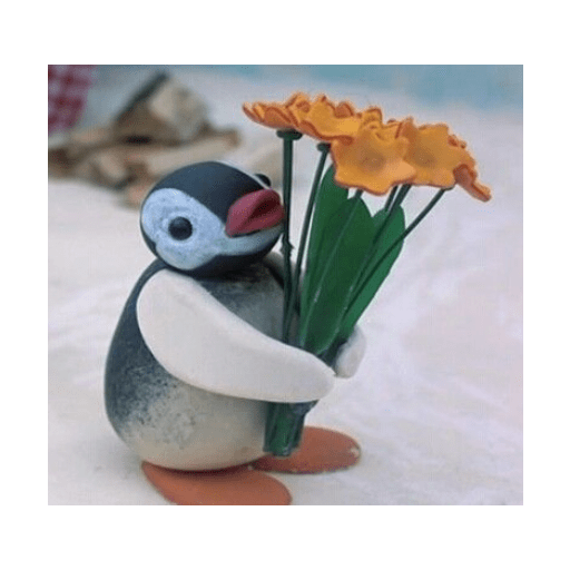 Pingu 13