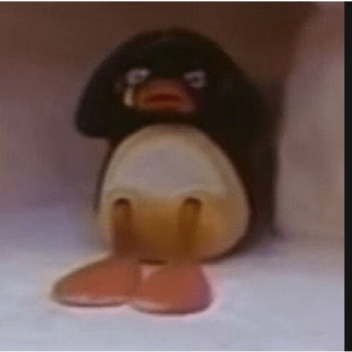 Pingu 8