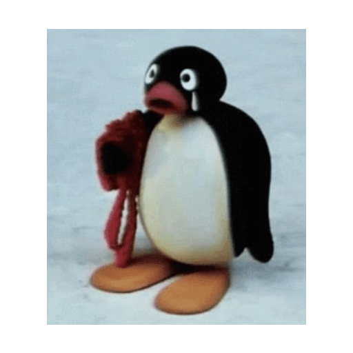 Pingu 21